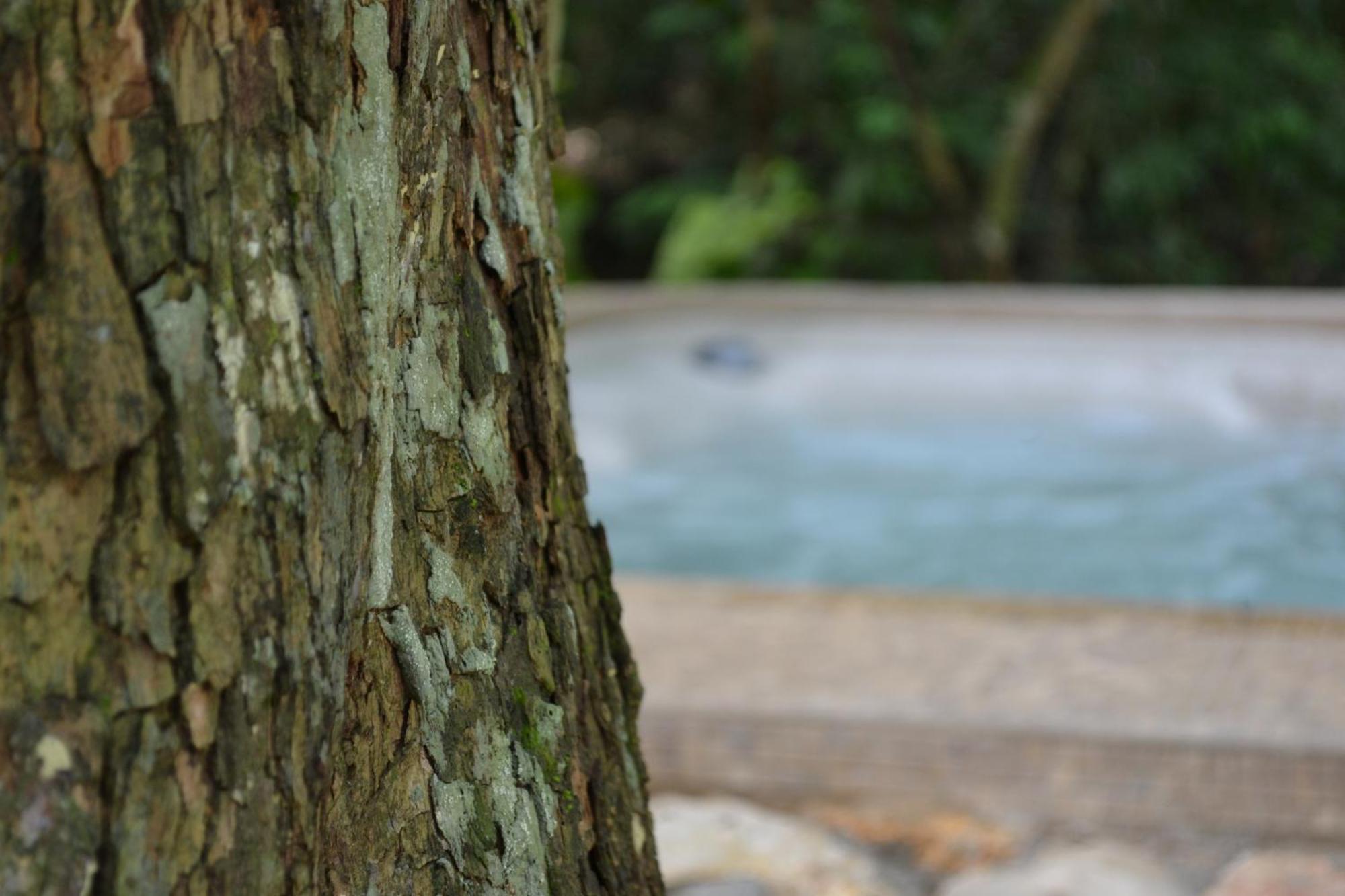 Hotel Jungle Lodge Tikal Quarto foto
