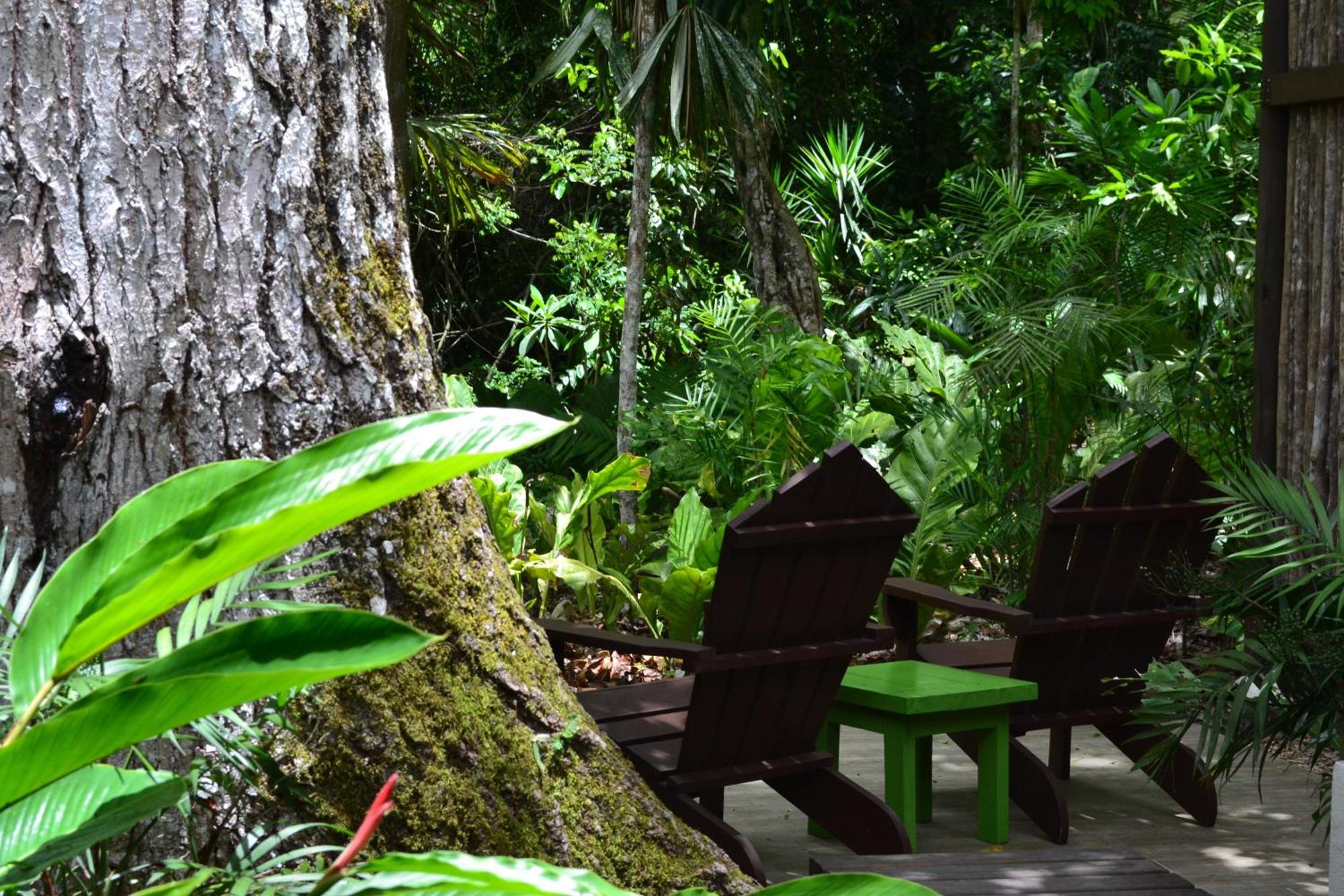 Hotel Jungle Lodge Tikal Quarto foto